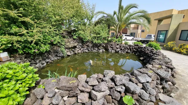 Ocean View Pension No.1