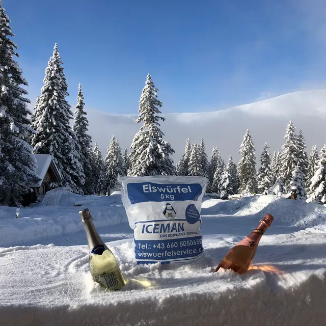 ICEMAN, The Ice Service