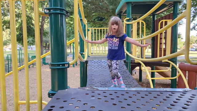 Seymour Park Playground