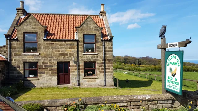 Skelder Hill Farm B&B
