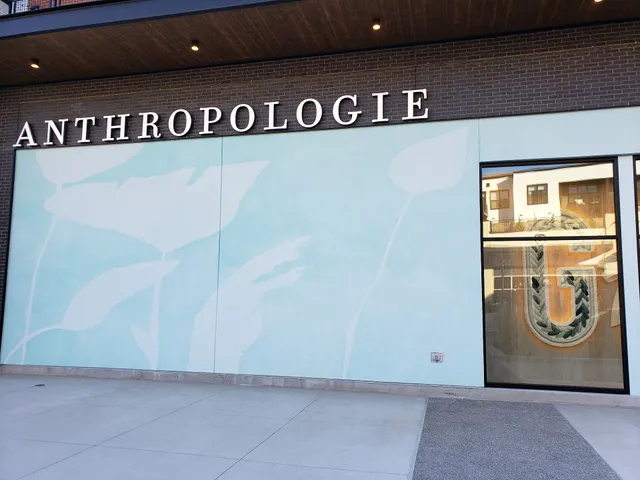 Anthropologie