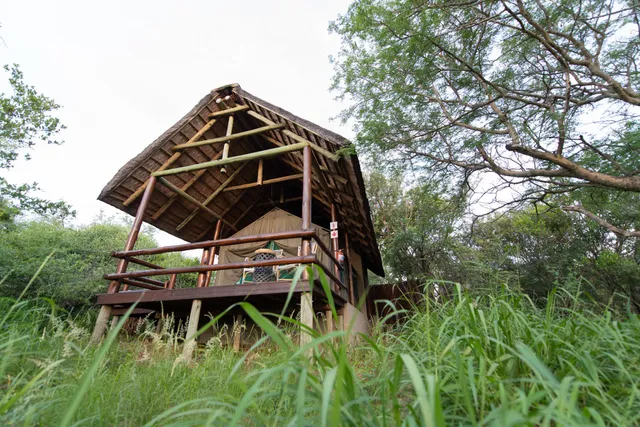 Sausage Tree Safari Camp