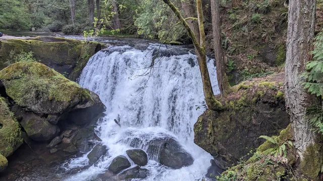Whatcom Falls Park Stone Bridge