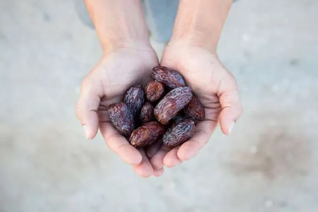 Naked Dates Farm