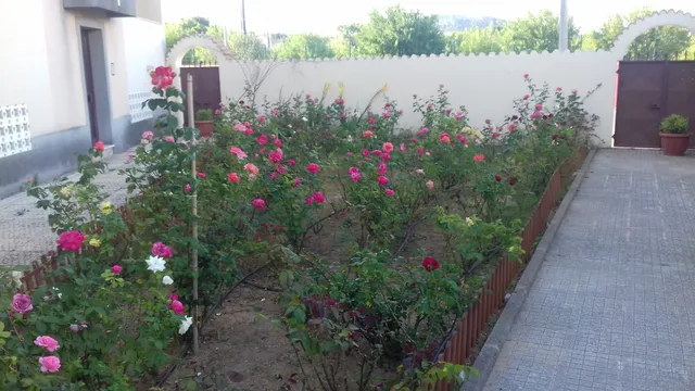 Résidence 1000 Roses