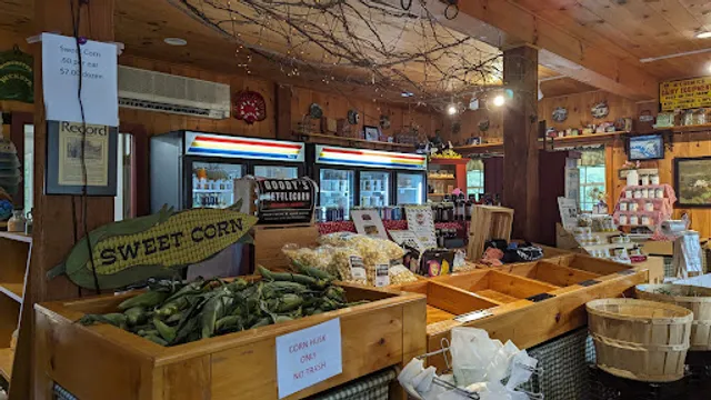 Rota Spring Ice Cream