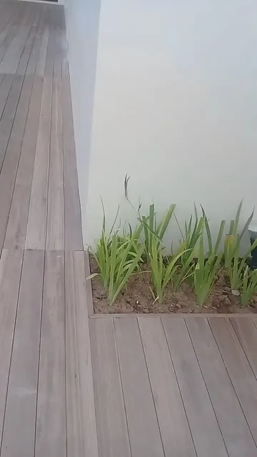 Bayu Gita Beachfront Villa