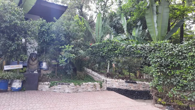 Future park | ፊውቸር ፓርክ |