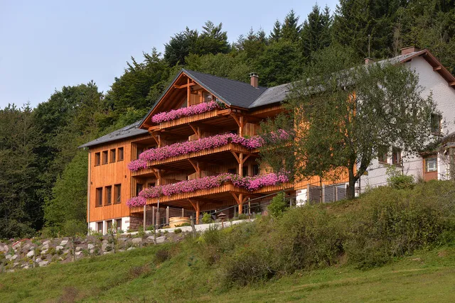 Les Gîtes d'Adelspach - Gîtes Nature & Spa en Alsace