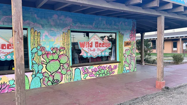 Wild Goose Vintage & Thrift Store