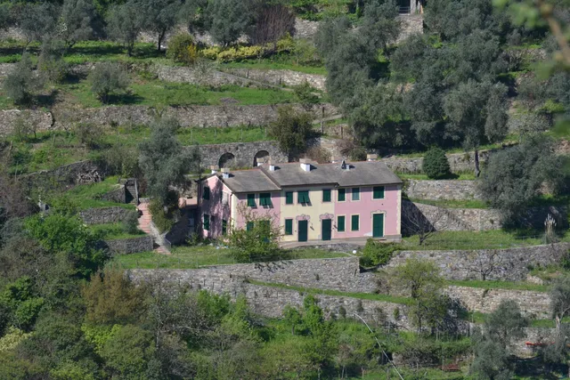 Villa Olivari