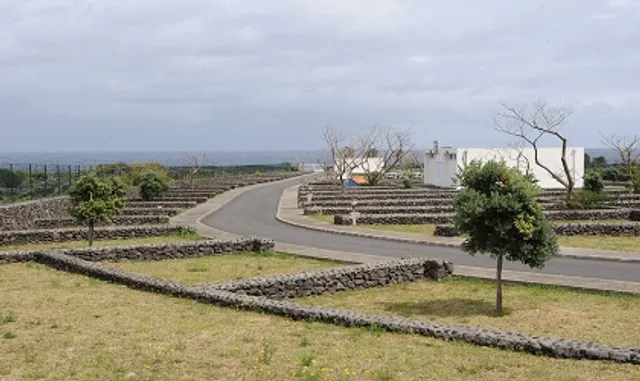 biscoitos camping & lounge bar