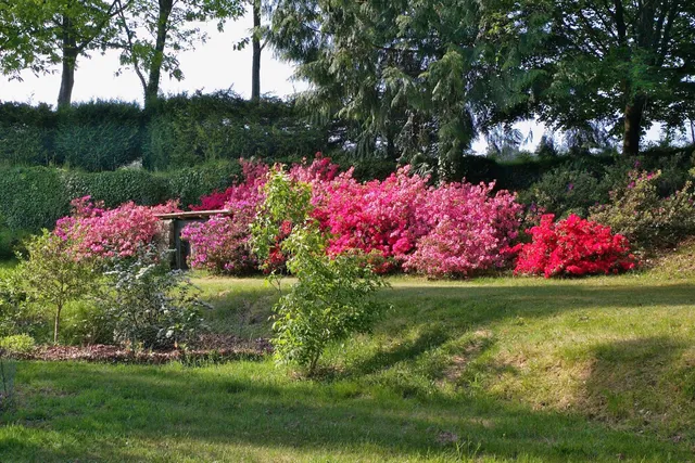 Château de Bothané