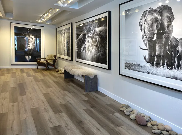 Guadalupe Laiz | Aspen Gallery