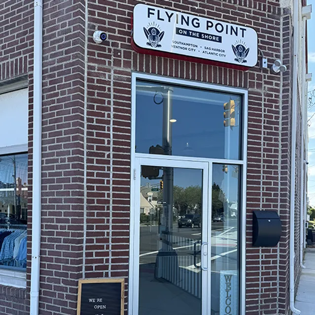 Flying Point on the Shore - Ventnor