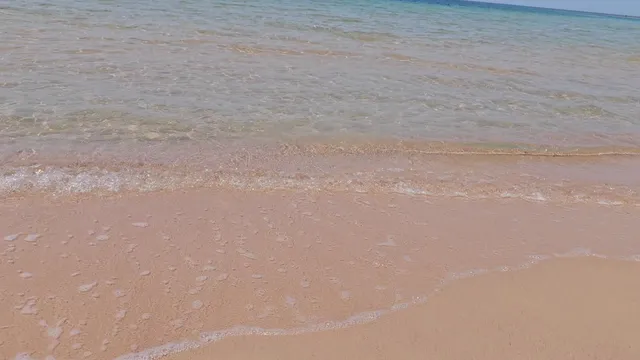 NEOM Logistics Park, Palm Oasis Office,