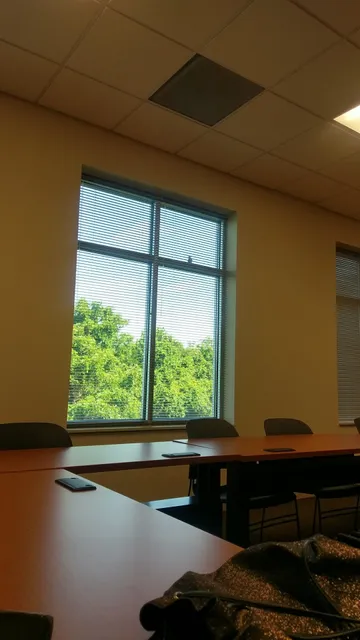 South University, High Point