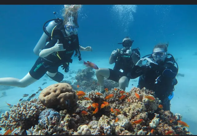 El gouna Blue corner diving clup & snorkelling& Boat trips &quad safari desert