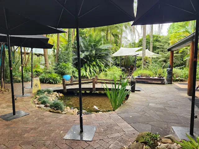 Bamboo Buddha - Cafe & Nursery