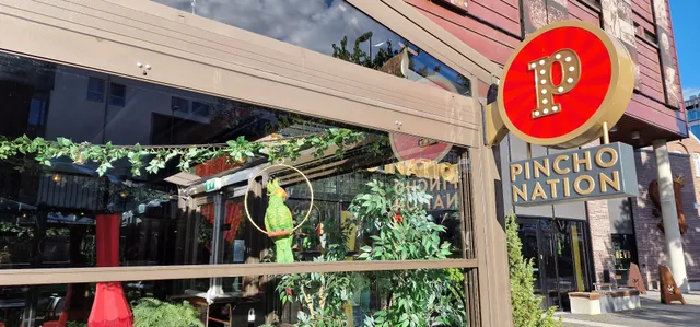 Pincho Nation Trondheim