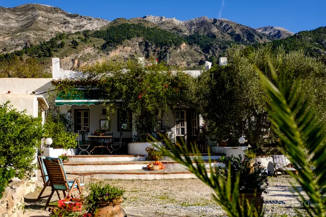 Casa Suerte, Petra Andrea Otto