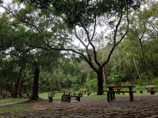 Ma On Shan Country Park BBQ site
