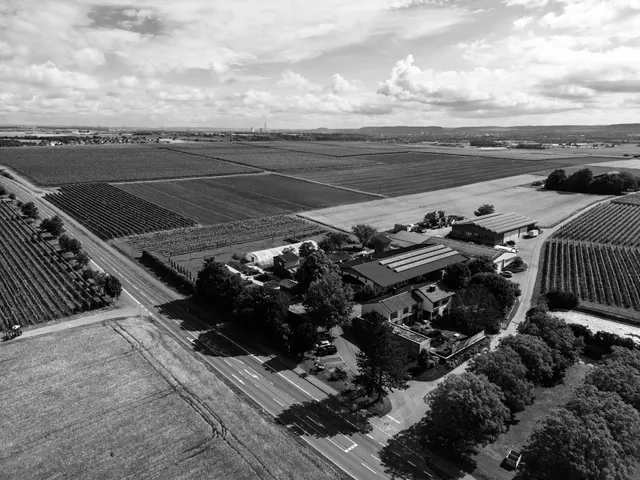 Verwaltungsgemeinschaft Lauffen am Neckar