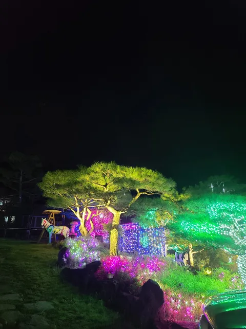 더하루풀빌라&수영장펜션