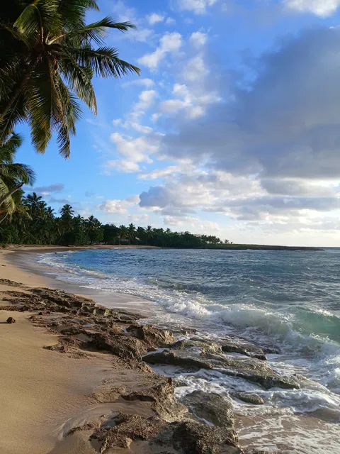 Condominiums The Cove - La Ensenada