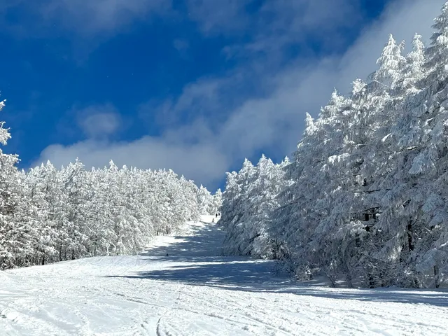 蔵王温泉スキー場 黒姫ゲレンデ