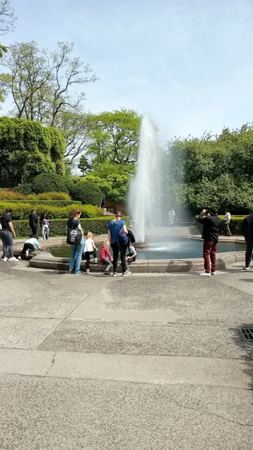 Mae Grant Playground