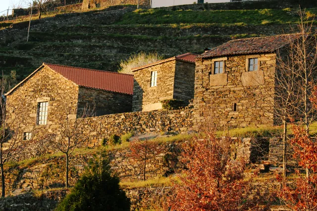 Cardanha do Douro Turismo