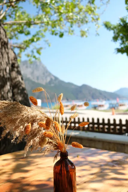 Ceneviz Hotel & Restaurant