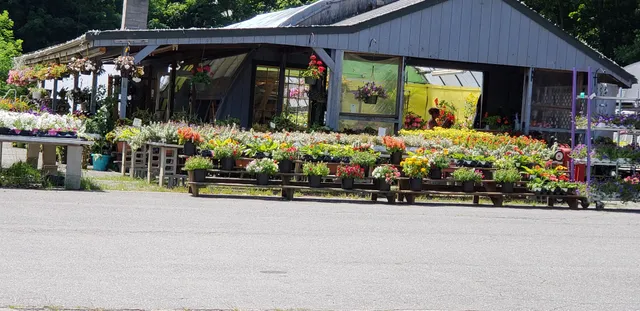 Potting Bench Florist & Gifts