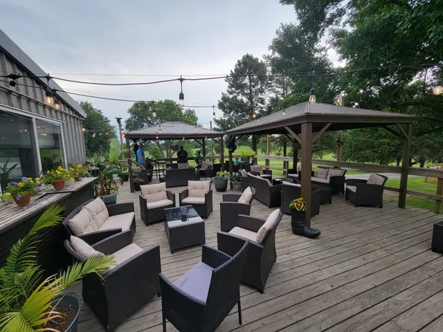 Toad Hollar Bar & Grill