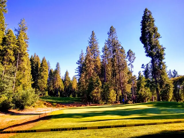 Forest Meadows Golf Course