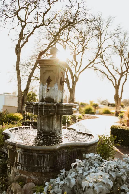 Rancho Roble Vineyards