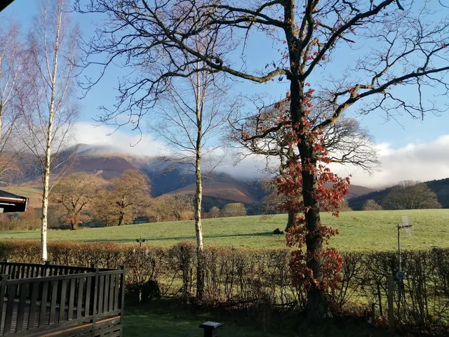 Bega - Burnside Park