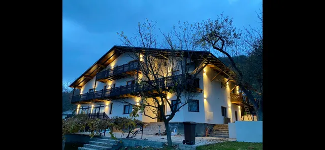 PANORAMIC Sus In Deal