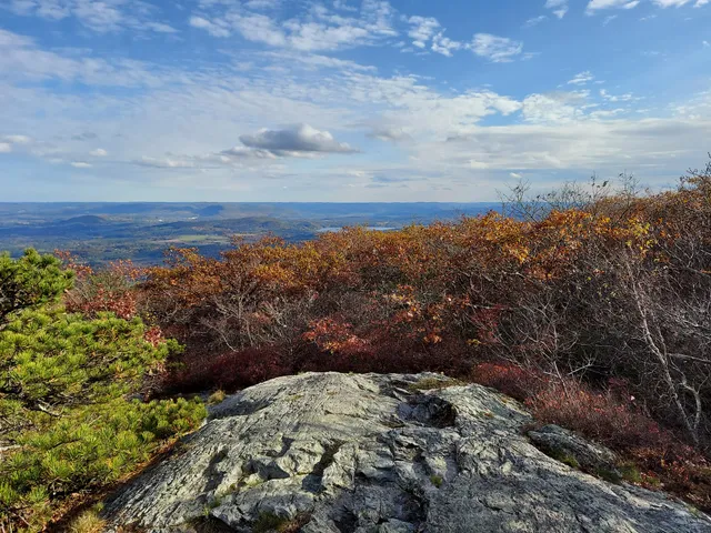 Mount Washington State Forest