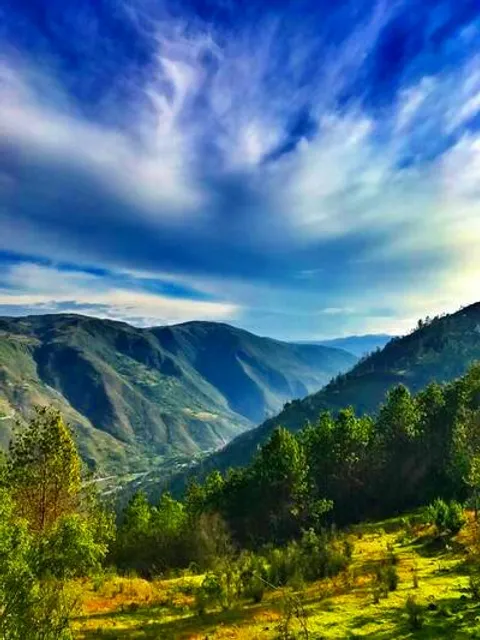 Gaia Sagrada Ayahuasca Retreat Center