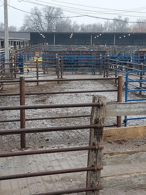 Stockmen's Livestock Market