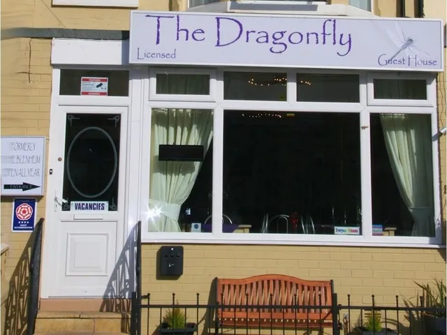 The Dragonfly