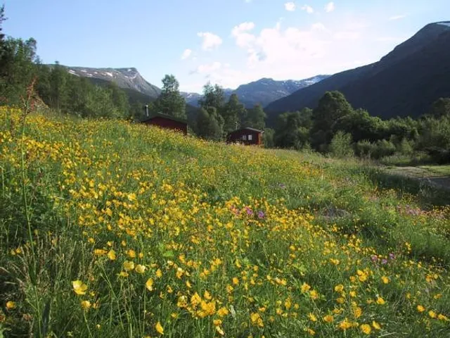 Maristuen Fjellferie AS