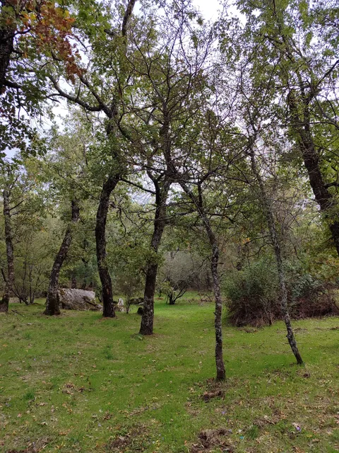Sendero a la silla de Felipe II