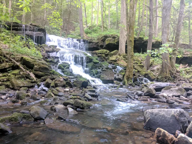 Fiery Gizzard Recreation Area
