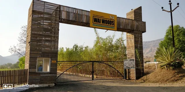 Wai Woods Project
