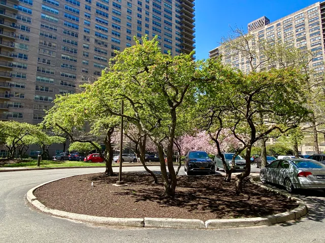 Lincoln Towers Apartments