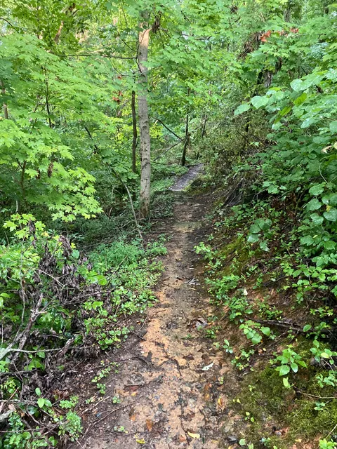 ETSU Trail System - Primary Trail Head 2
