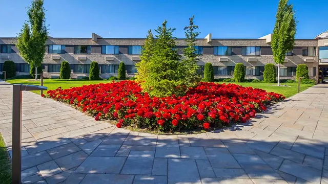 Best Western Plus University Inn